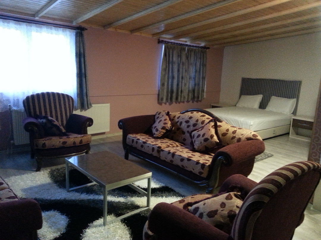 Lina Suite Hotel主图