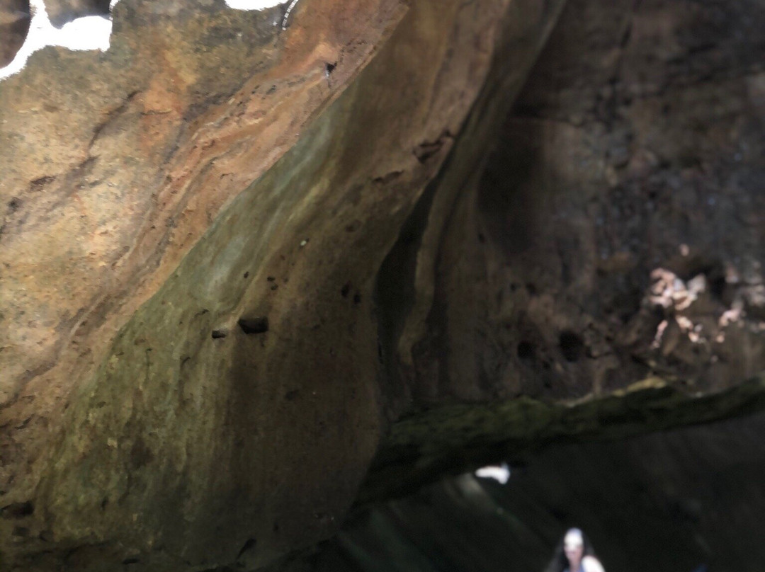 Paraíso dos Cânions-Piranhas必去景点