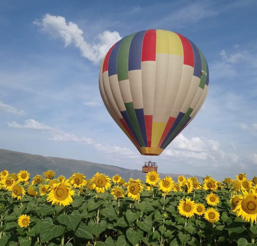 Carrion de los Cespedes旅游攻略图片