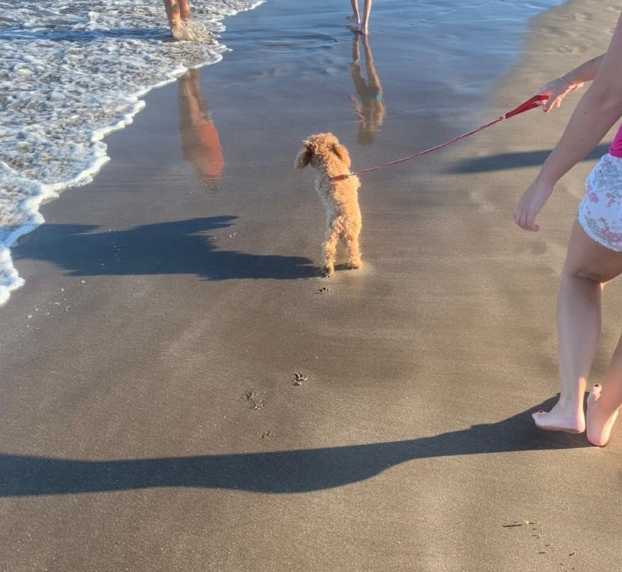 Playa San Bernardo景点图片