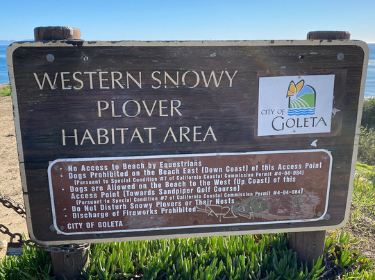 Coronado Butterfly Preserve-戈利塔必去景点