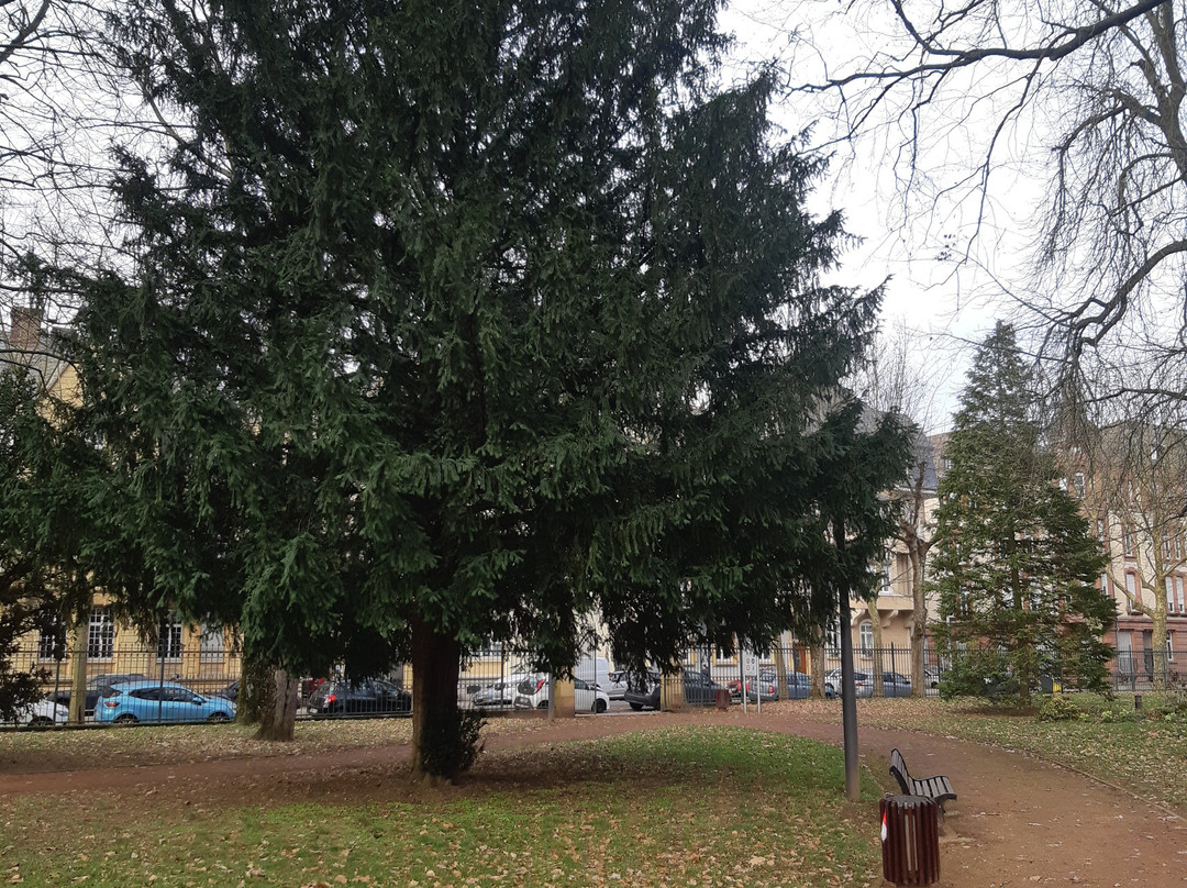 Parc Napoléon-蒂永维尔必去景点