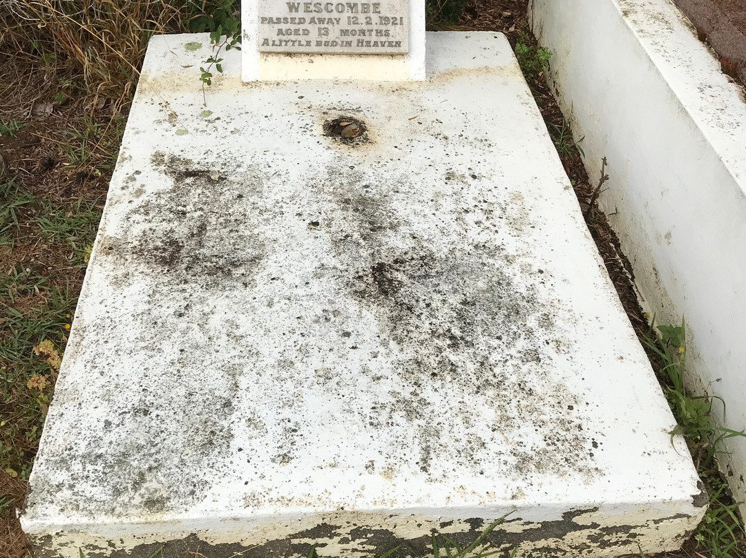 Penguin General Cemetery-企鹅岛必去景点