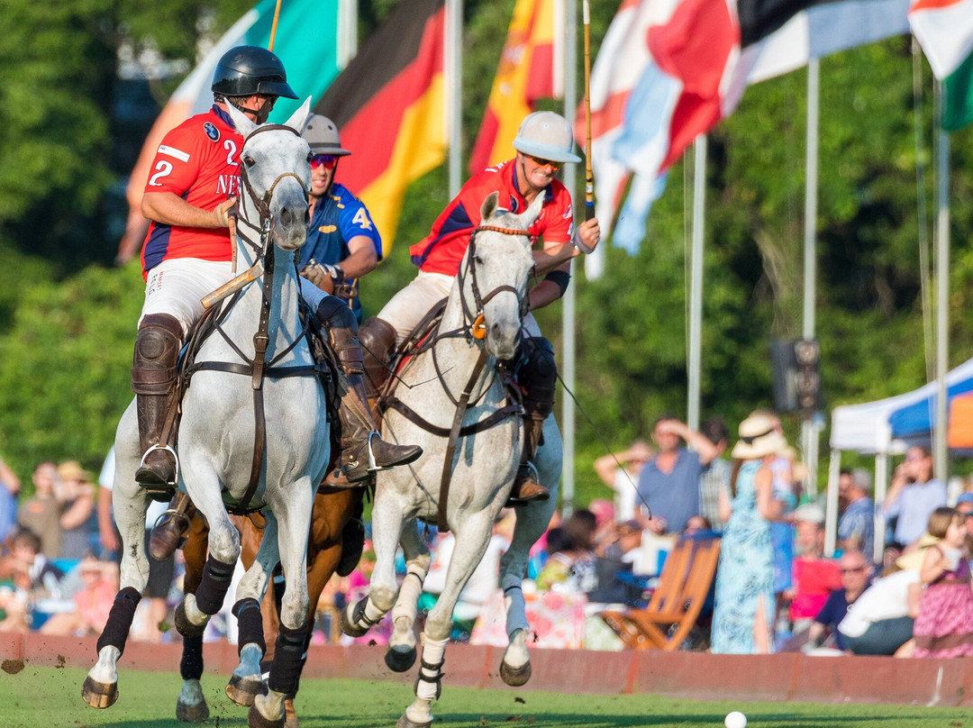 Newport Polo-Portsmouth必去景点