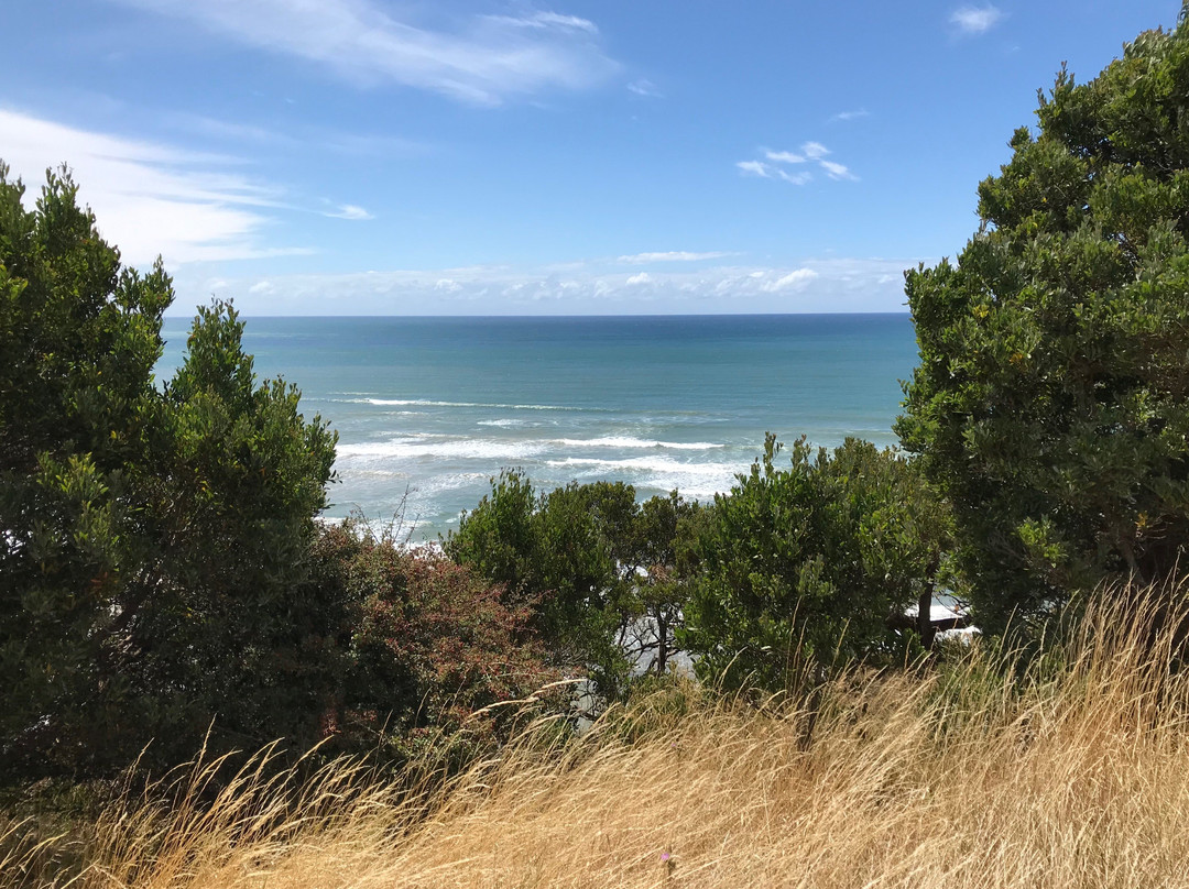 Fossil Bluff-温耶德必去景点