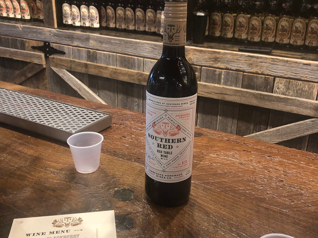 Tennessee Homemade Wines-塞维尔维尔必去景点