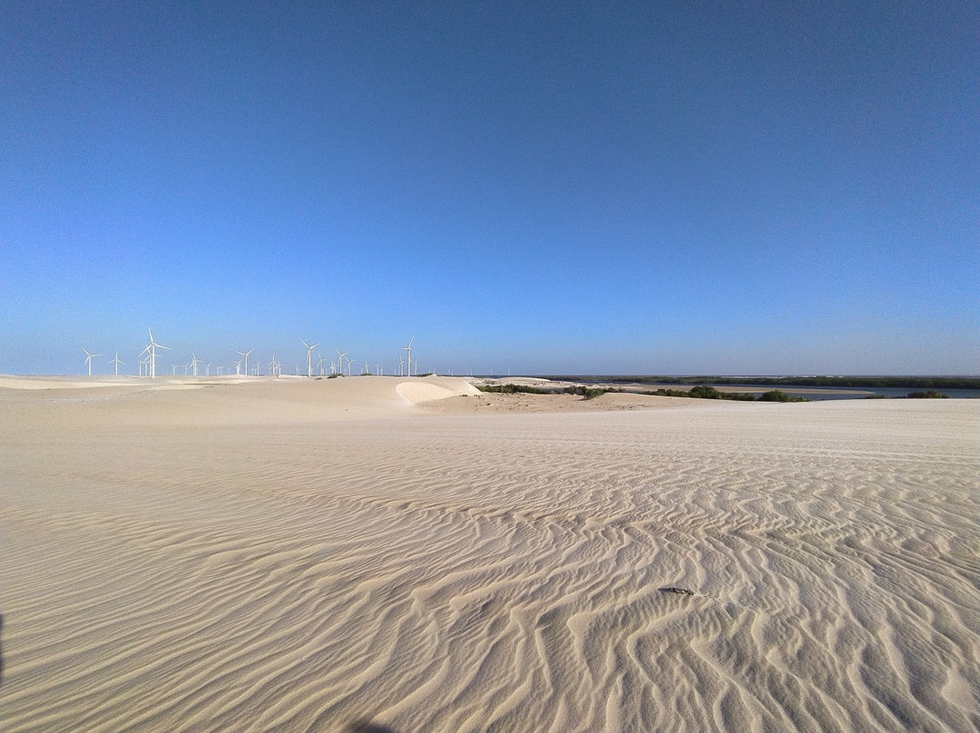 Dunas de Galinhos景点图片