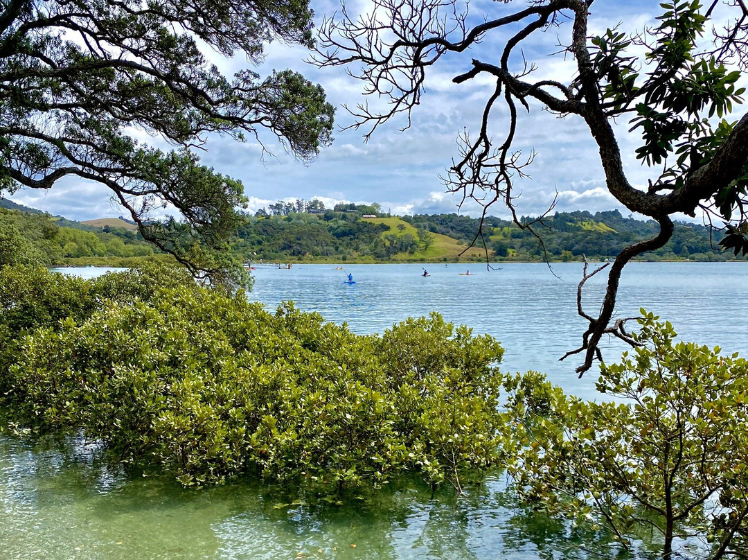 Wenderholm Regional Park-怀韦拉必去景点