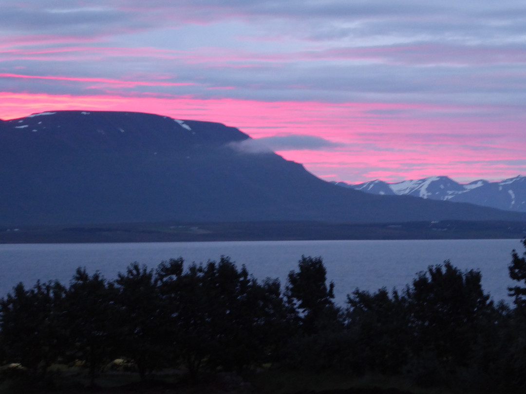 斯维布贾纳格迪田园酒店主图