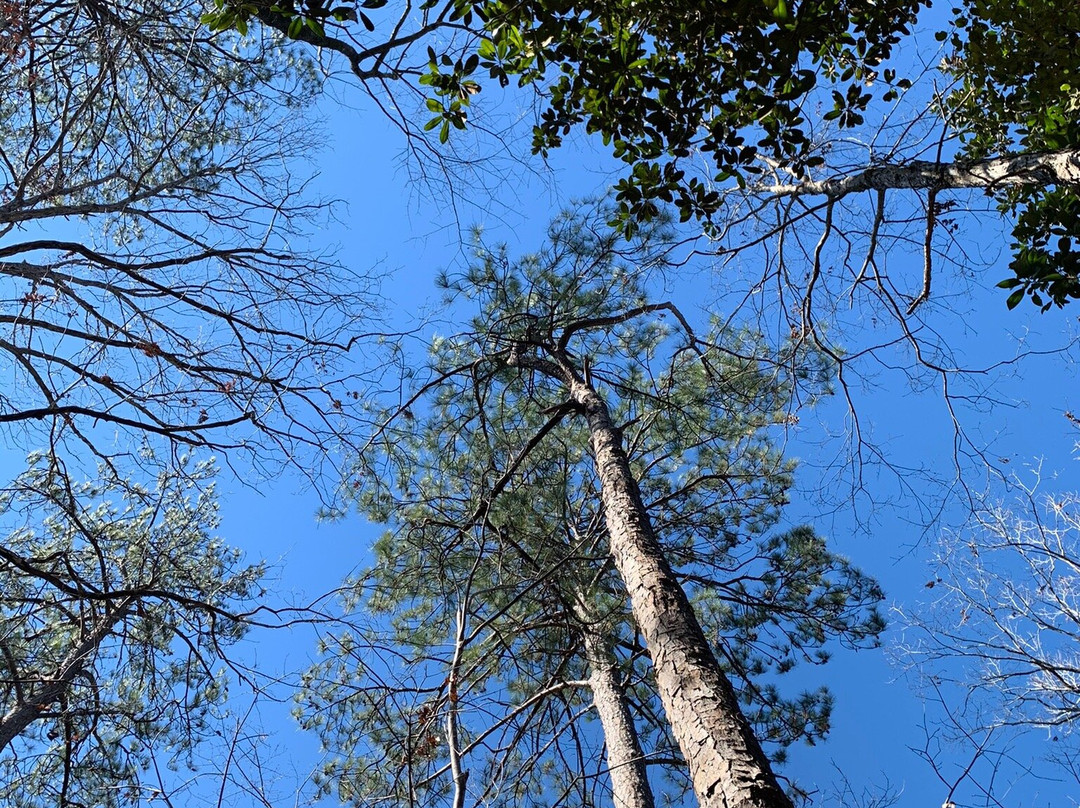 Tuxachanie Hiking Trail景点图片