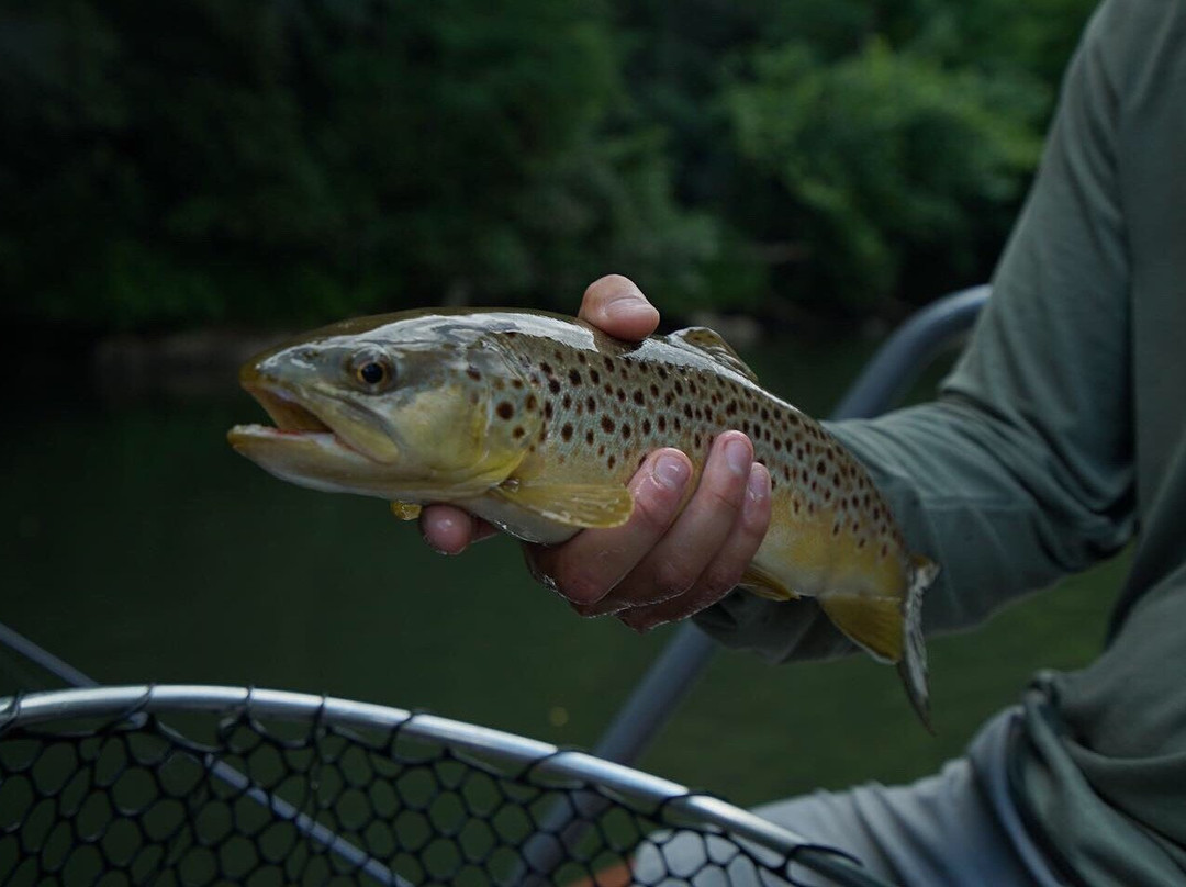 TwoBrothers Guide Service-Sylva必去景点