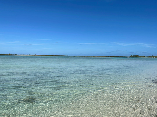 Turks Aqua Adventures-格雷斯湾必去景点