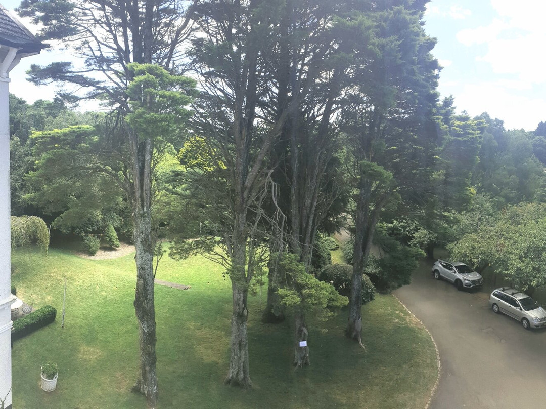 The Robertson Hotel主图