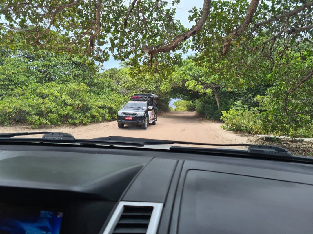 Jericoacoara Transfer - JS TOUR 4X4 JERICOACOARA.-杰里科科拉必去景点