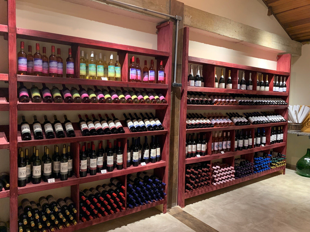 Vinícola Carmela-Amparo必去景点