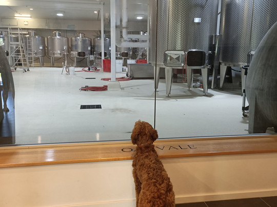 Grape to Glass Boutique Wine Tours-波高尔宾必去景点