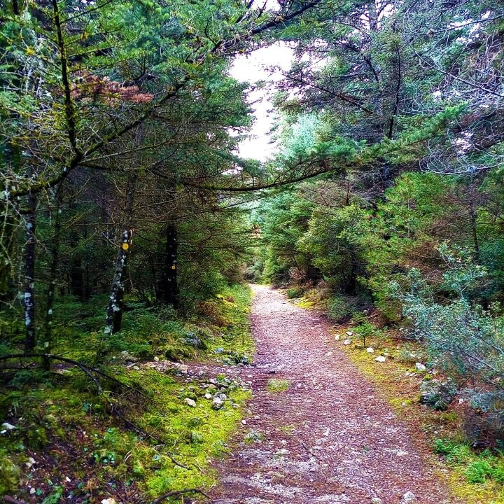 Lake Doxa-Feneos必去景点