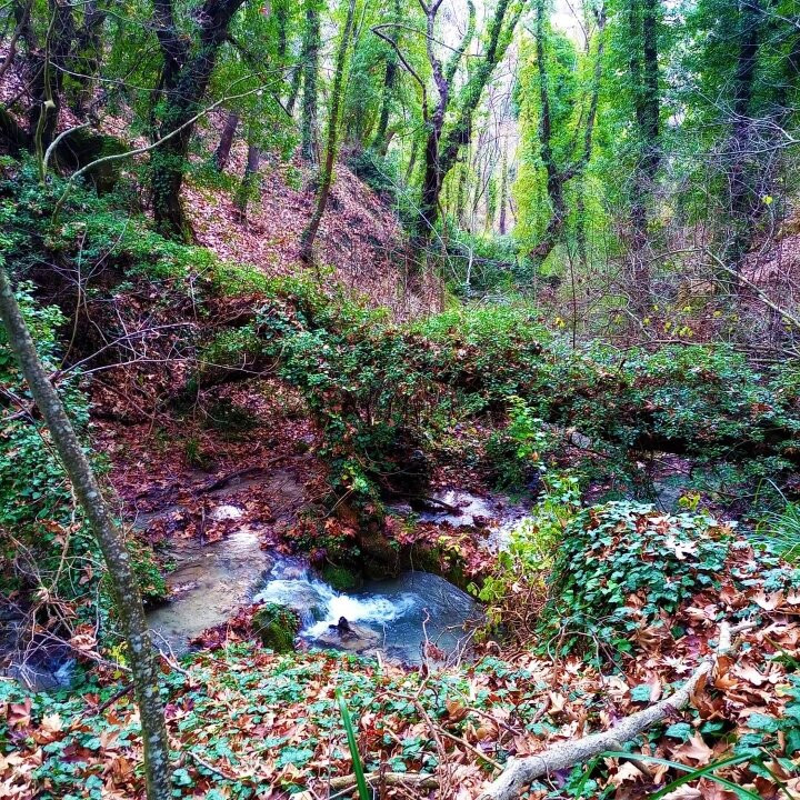 Rema Ton Mylwn-Evrostina必去景点