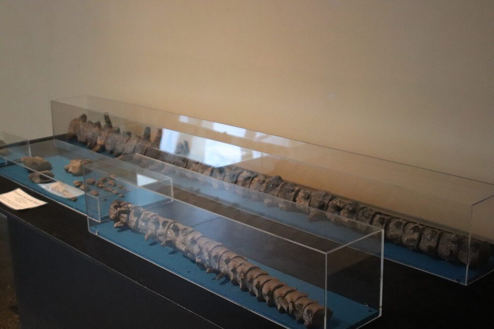 Western Science Center-赫米特必去景点