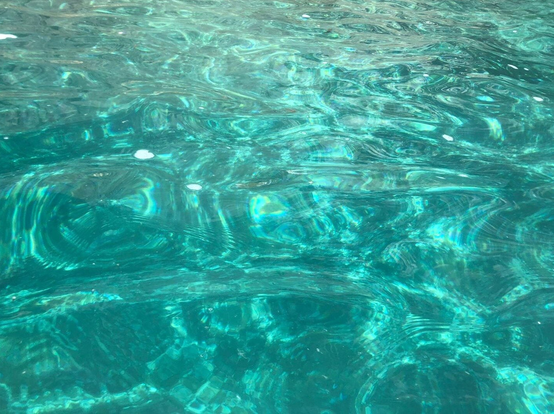 Carnassa Cinque Terre Kayak Tour / Monterosso E-Bike Experience-滨海蒙特罗梭必去景点