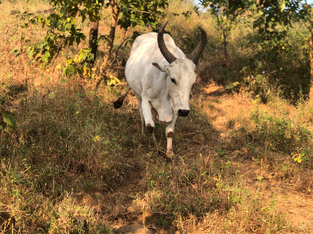 Jack & Hill Adventures-孟买必去景点