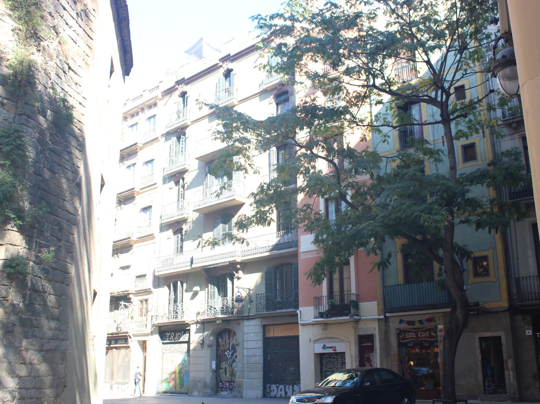 Plaça de Sant Josep Oriol-巴塞罗那必去景点