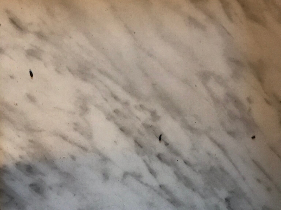 Coe Hill旅游攻略图片