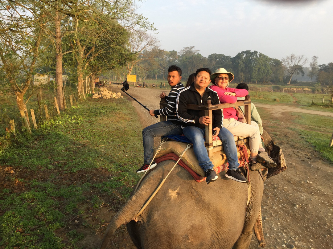 Peace Himalaya Treks And Travels Pvt. Ltd-博卡拉必去景点