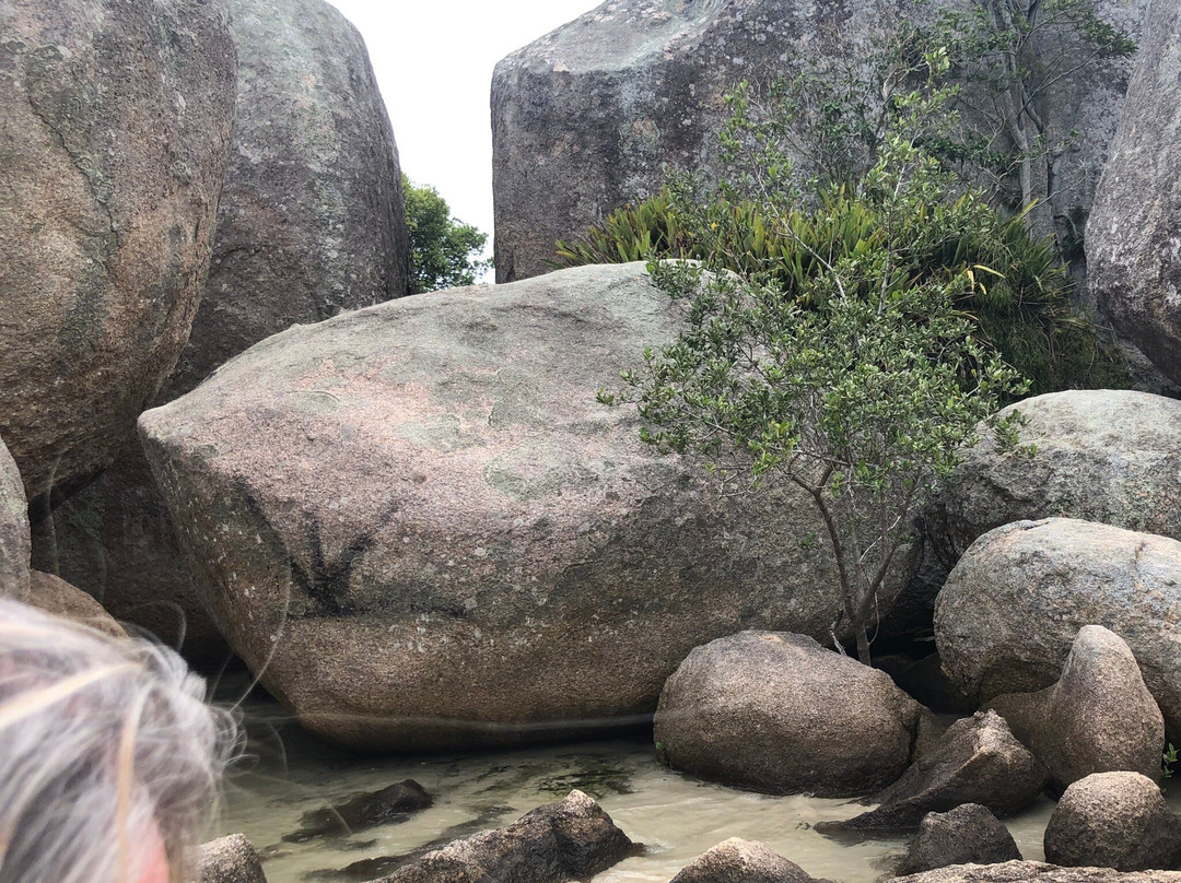 Praia da Armação da Piedade-Governador Celso Ramos必去景点