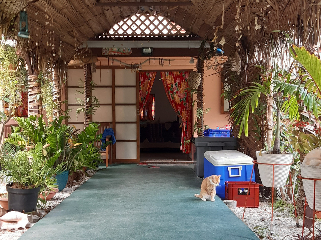 Pension Maupiti Village主图