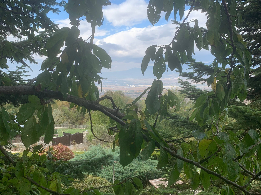 Villa Neva Hotel主图