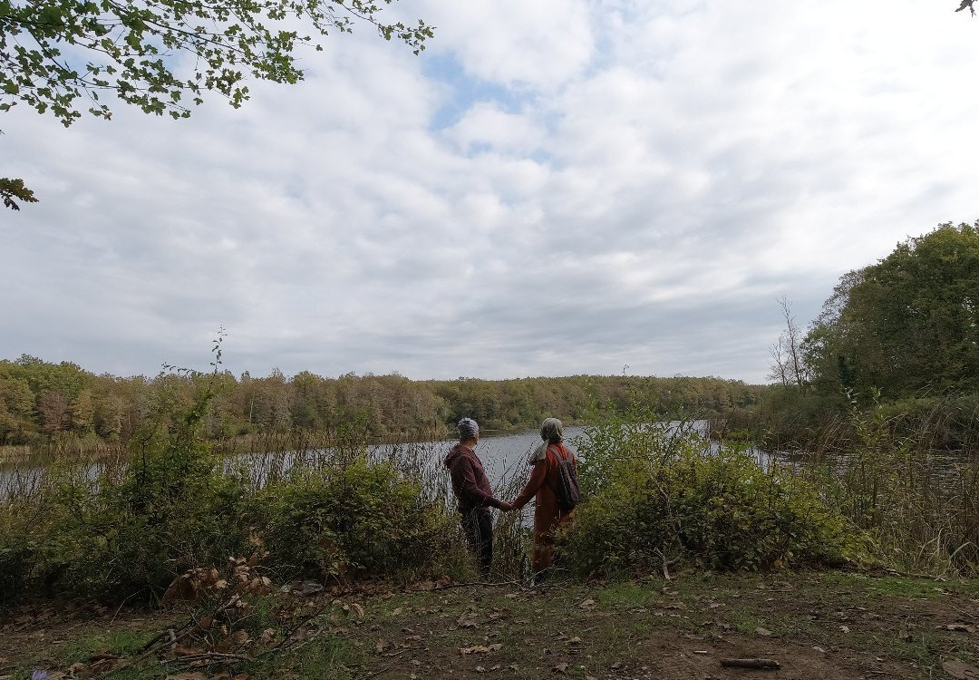 Igneada Longoz Ormanları Milli Parkı-Igneada必去景点