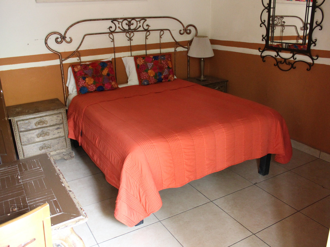 Hotel Jardin del Centro主图