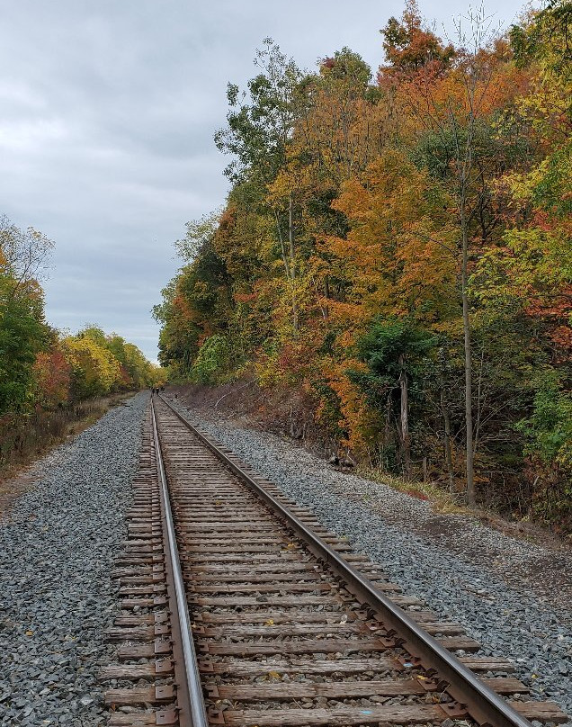Devil's Punchbowl Conservation Area-Stoney Creek必去景点