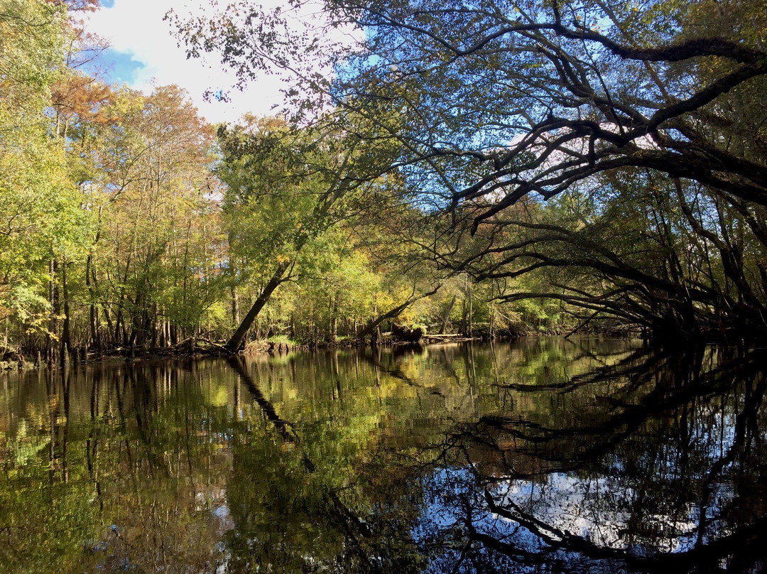 Captain Charles Robbins' Cape Fear River Adventures景点图片