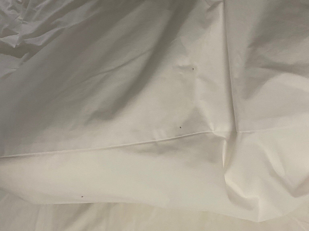 Best Western Plus Fergus Hotel主图