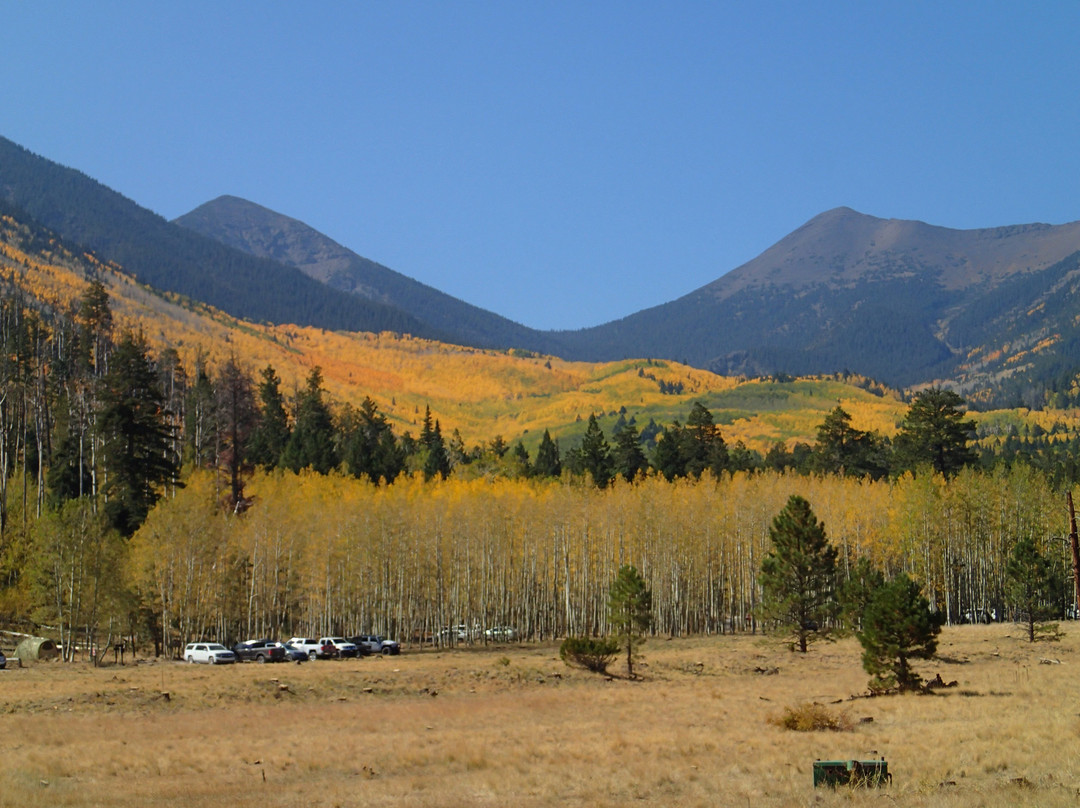 Lockett Meadow-弗拉格斯塔夫必去景点