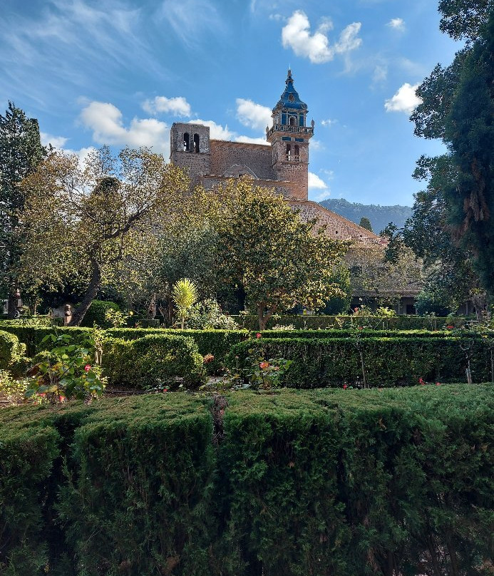 Jardins Rei Joan Carles景点图片