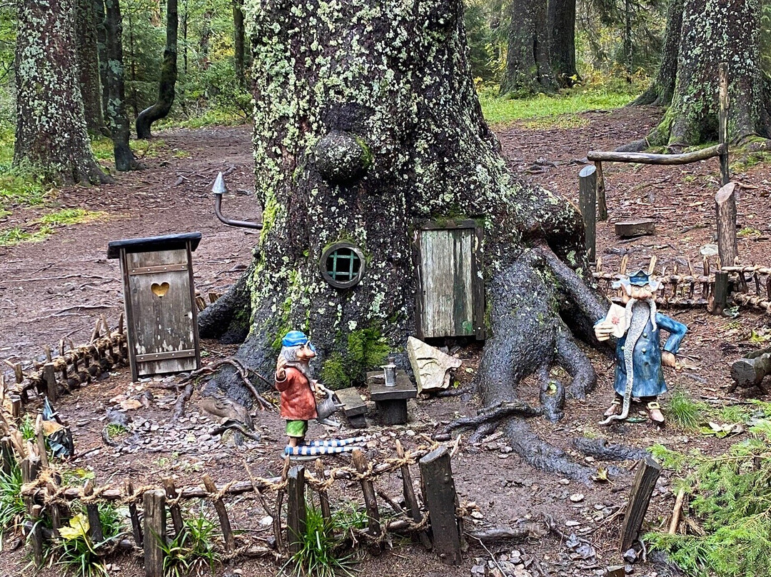 The Little Folk's Trail-菲尔德山必去景点