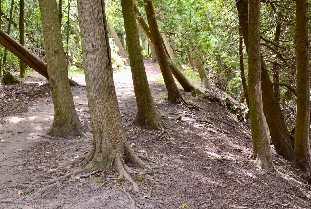 McRae Point Provincial Park景点图片