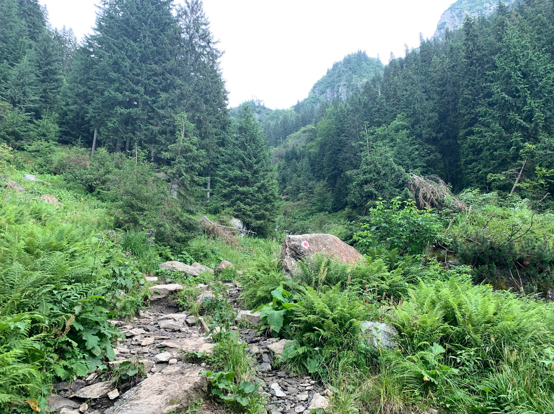 Balea Waterfall-Cartisoara必去景点