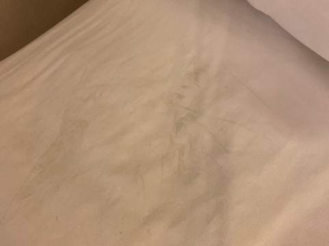 亚特兰大萨沃尼佐治亚购物中心红顶酒店主图