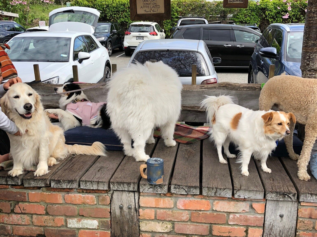 Matakana Village Farmers' Market-马塔卡纳小镇必去景点