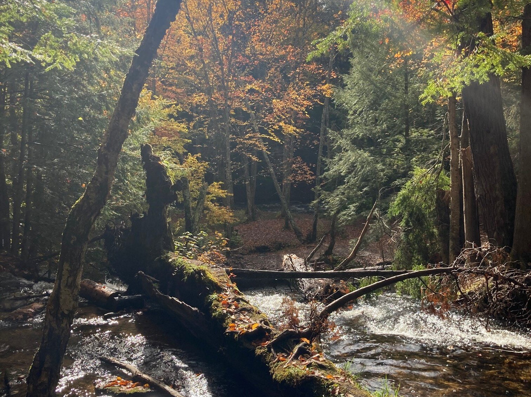 Morgan Falls-Marquette必去景点