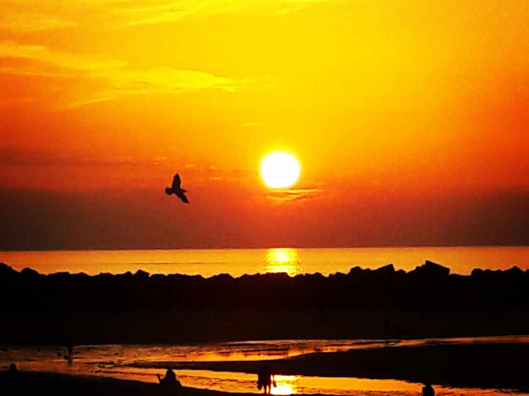 Basque Guides-圣塞瓦斯蒂安必去景点