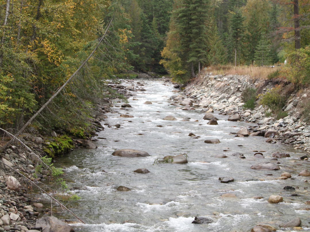 Kaslo River Trail景点图片