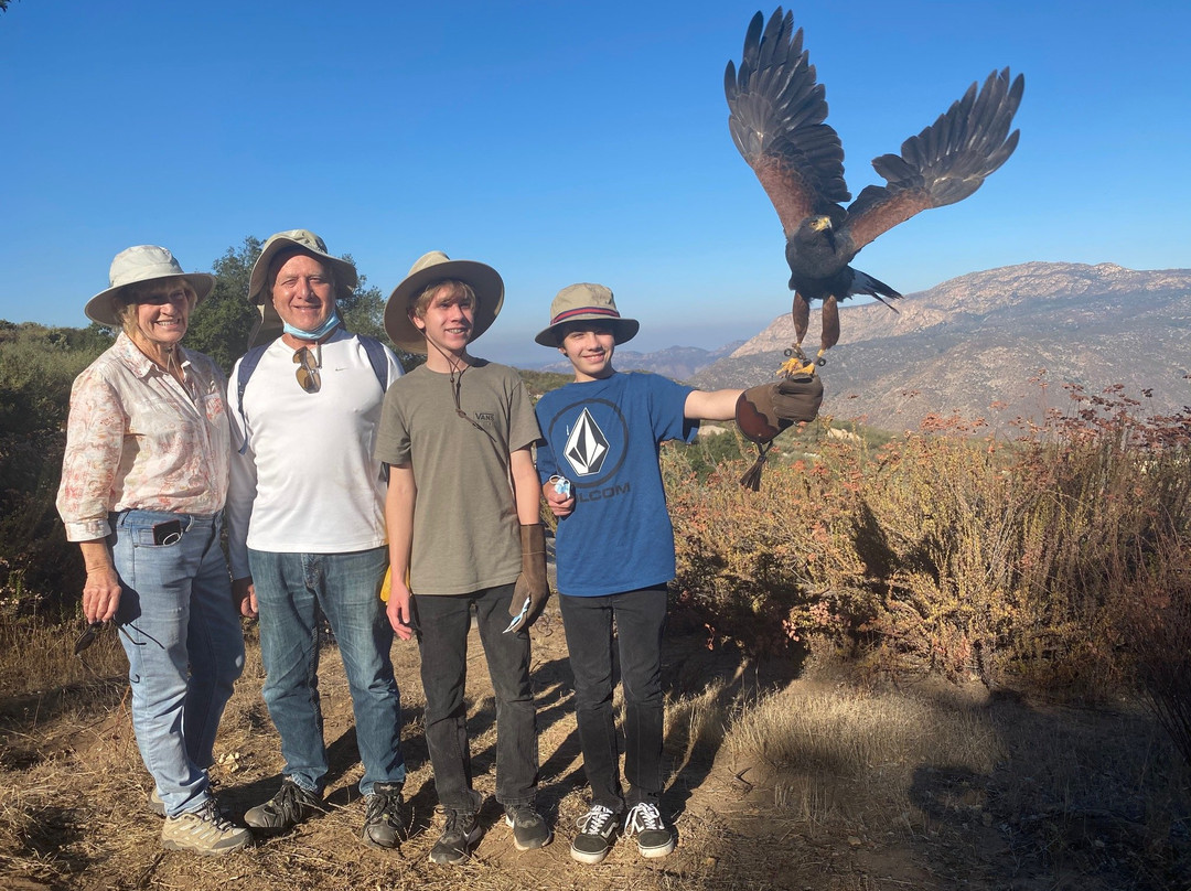 Sky Falconry-Alpine必去景点