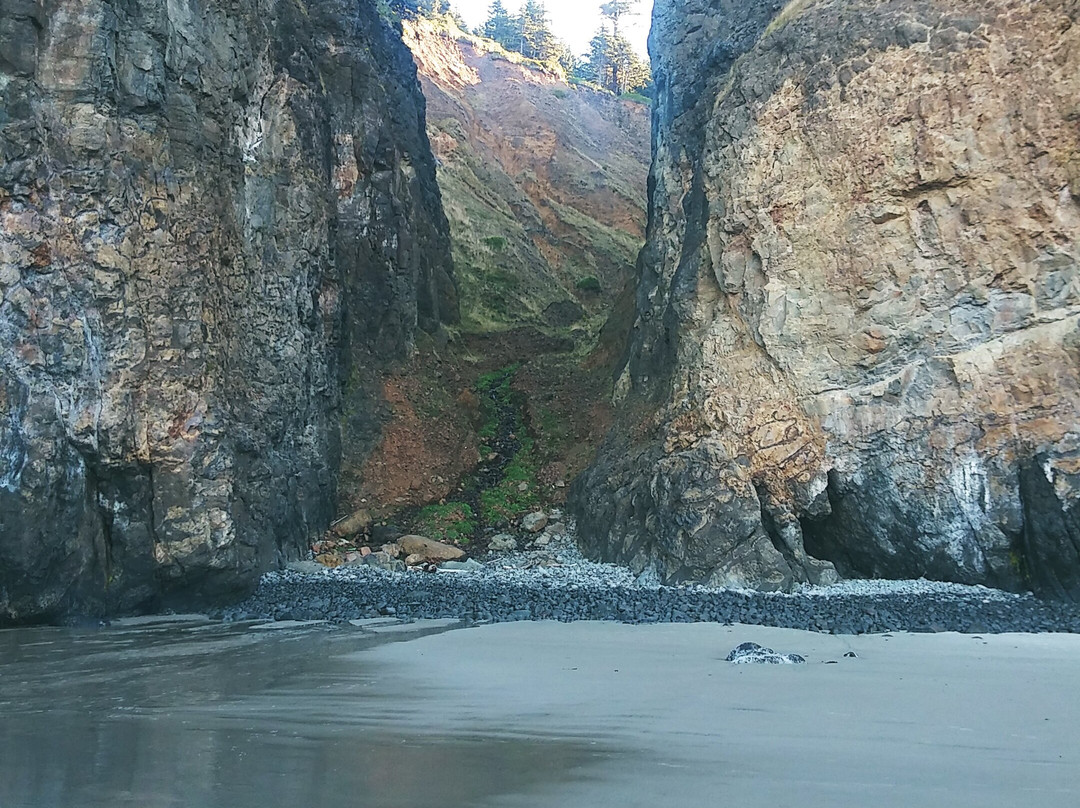 Short Beach景点图片