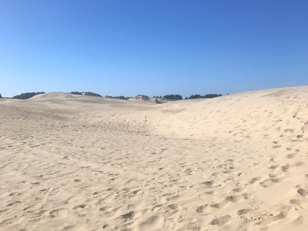 John Dellenback Dunes Trail-弗洛伦斯必去景点