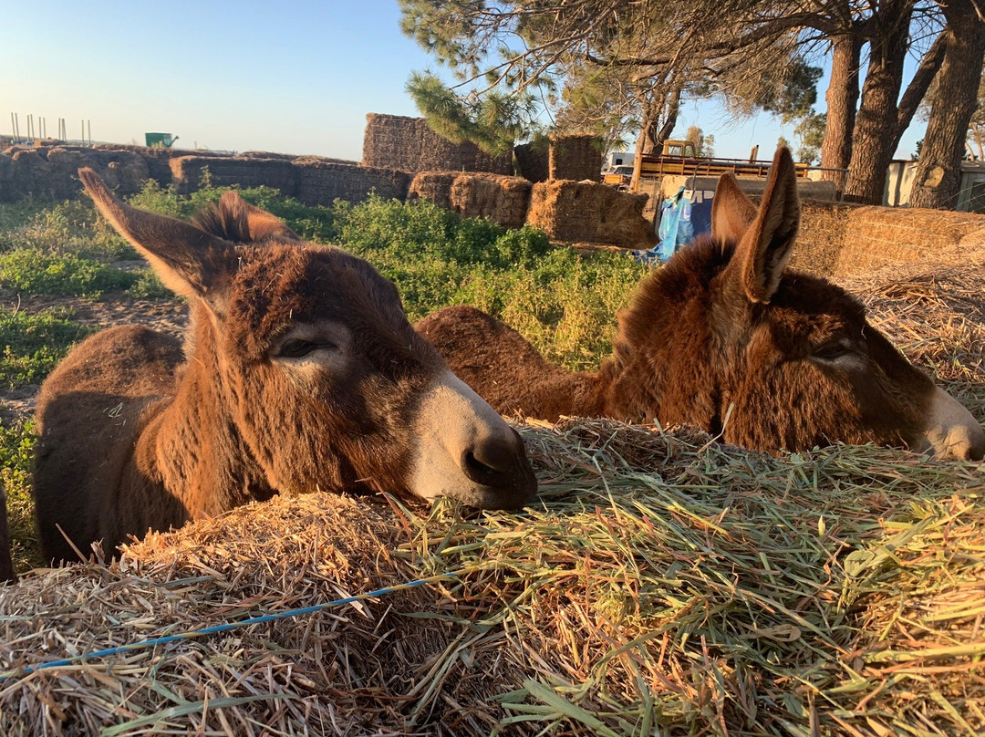 Nambung Station Stay主图